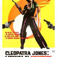 Cleopatra Jones: Licenza di uccidere