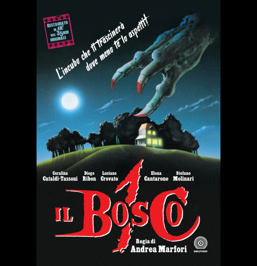 Il bosco 1