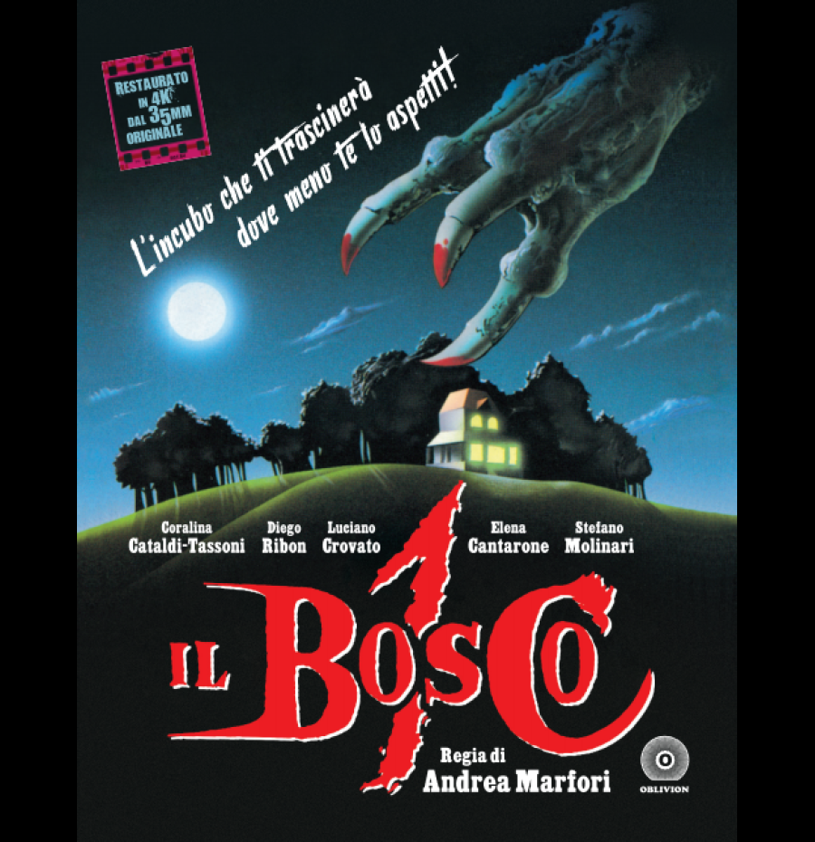 Il bosco 1