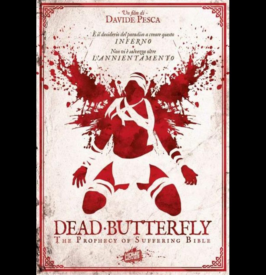 Dead butterfly