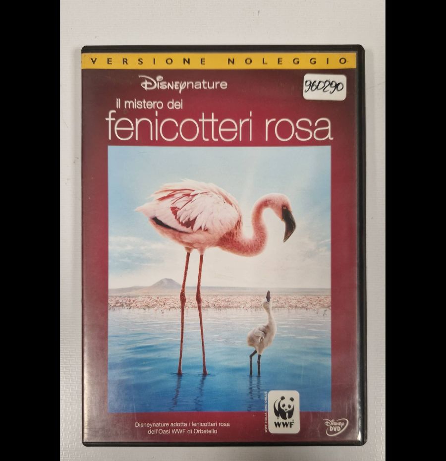 Il mistero dei fenicotteri rosa 