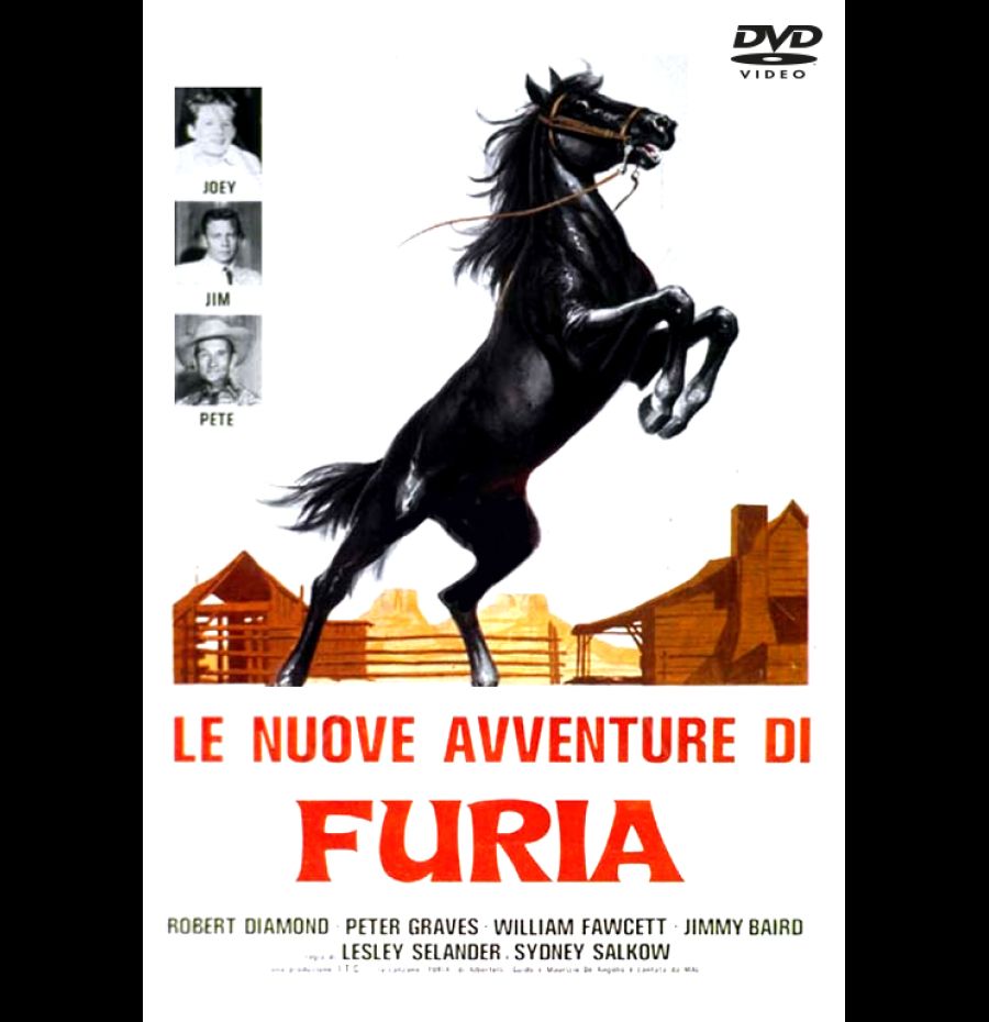 Le nuove avventure di Furia