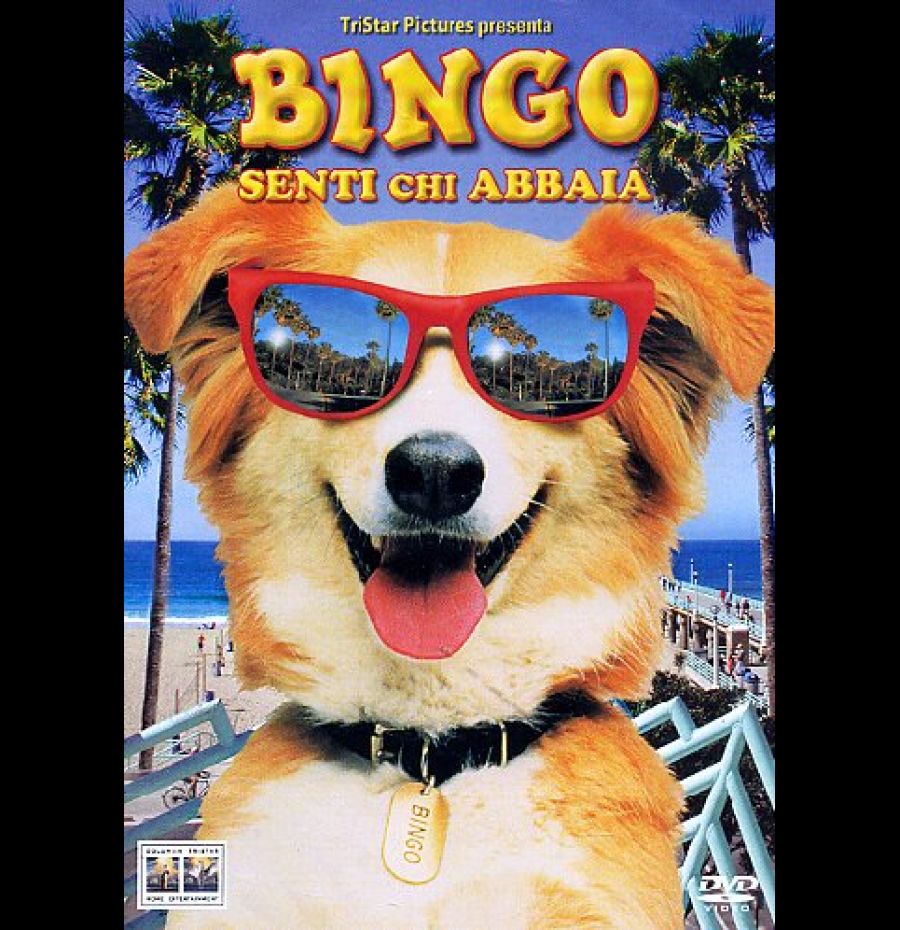 Bingo - Senti chi abbaia