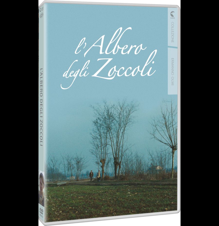 L'albero degli zoccoli