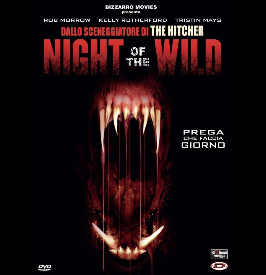 Night of the wild