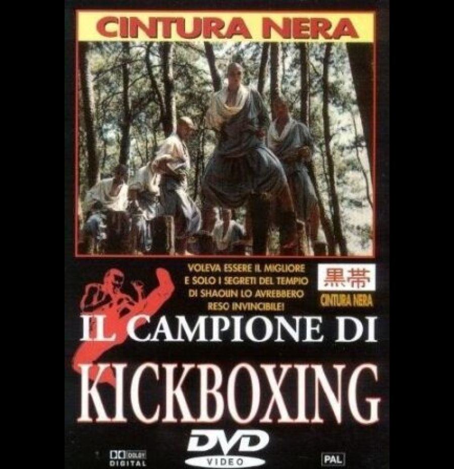 Il campione di kickboxing