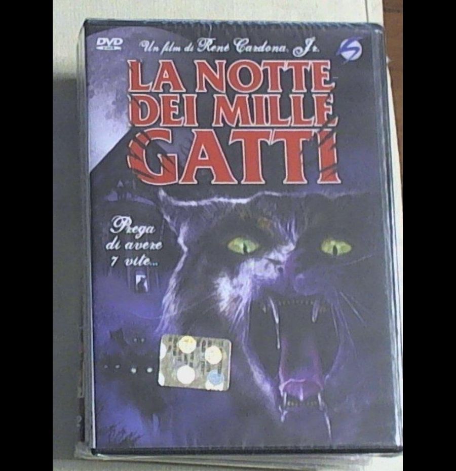 La notte dei mille gatti