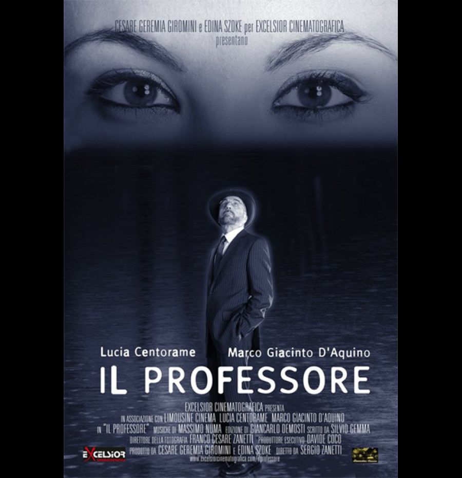 Il professore