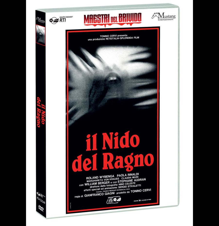 Il nido del ragno