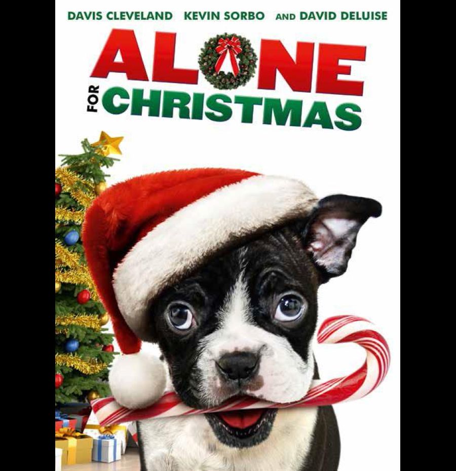 Alone for Chirstmas