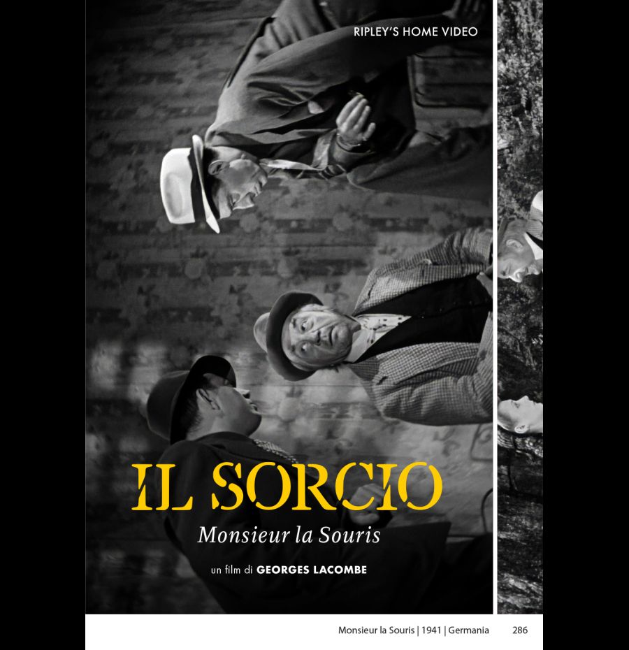 Il Sorcio